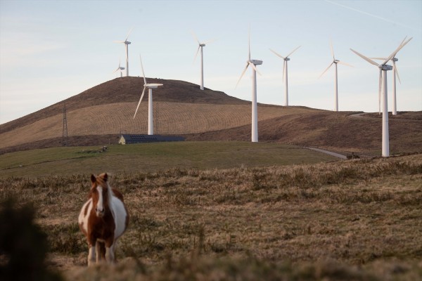 Empresas y organizaciones se unen en Alianza España Verde y Conectada para impulsar acceso a redes eléctricas