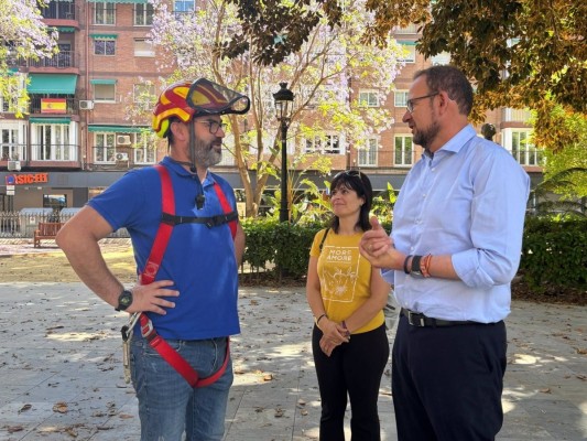 Los ficus del Jardín de Floridablanca de Murcia se hacen un 'chequeo' que certifica que gozan de buena salud