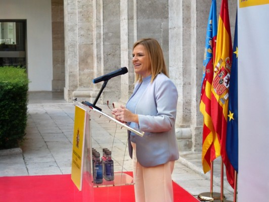 El Gobierno dice que la Policía actuó fuera de Mestalla por el riesgo de daños a personas
