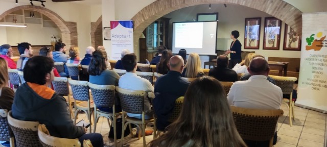 Utiel-Requena buscan startups para apoyar la digitalización de los sectores del vino y el turismo