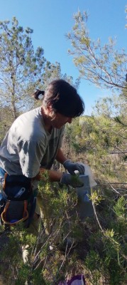 Terra Natura Benidorm se une a un proyecto nacional de seguimiento de micromamíferos