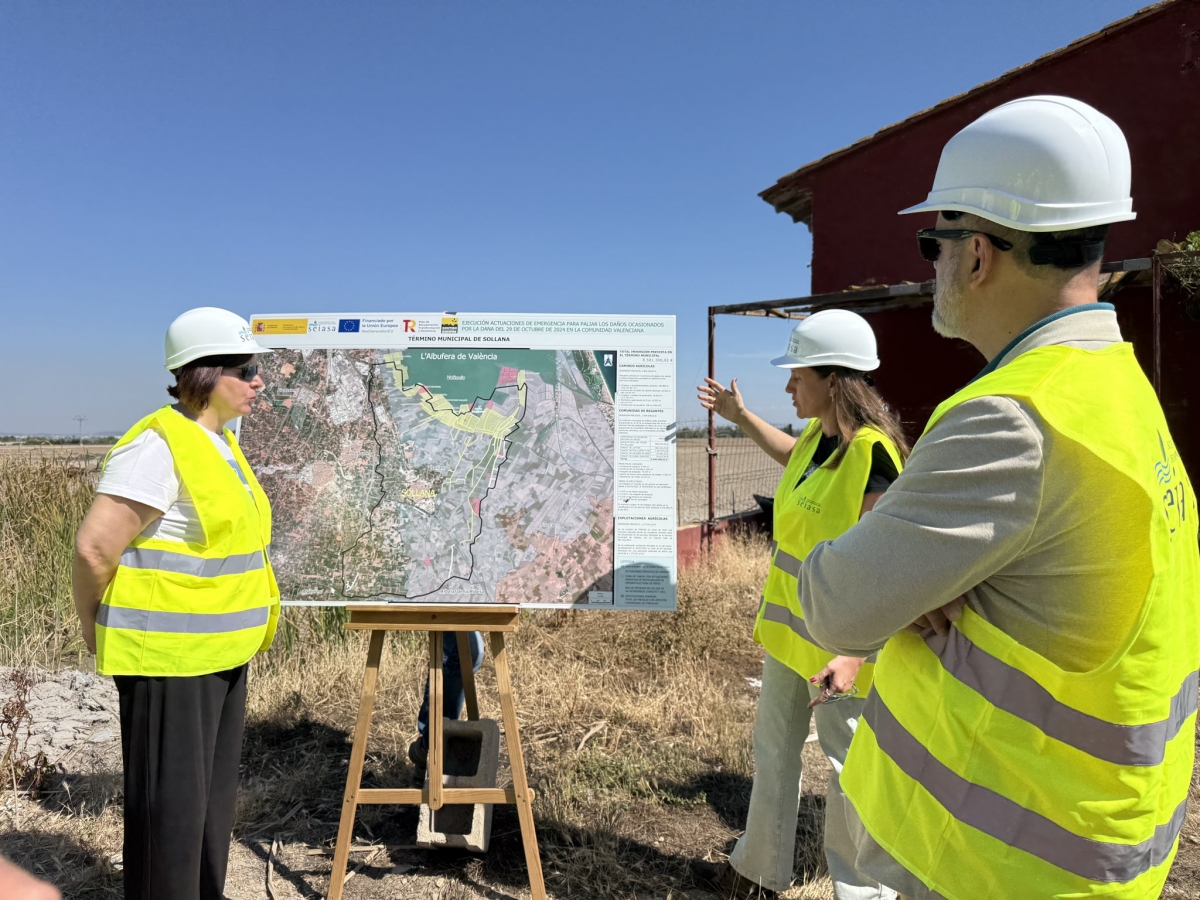  - Foto: SUBDELEGACIÓN DEL GOBIERNO DE VALENCIA/X