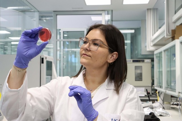 Los compuestos bioactivos del jamón podrían proteger el deterioro celular, según un estudio murciano