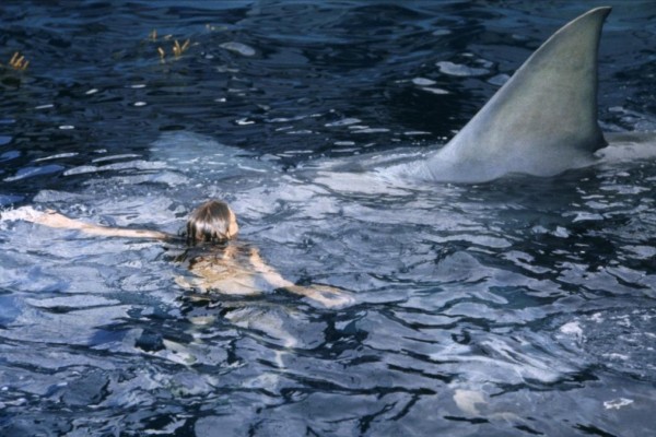 Cala Cortina vivirá un 'Infierno azul' con una sesión nocturna de cine en la que el público estará en el agua con flotadores