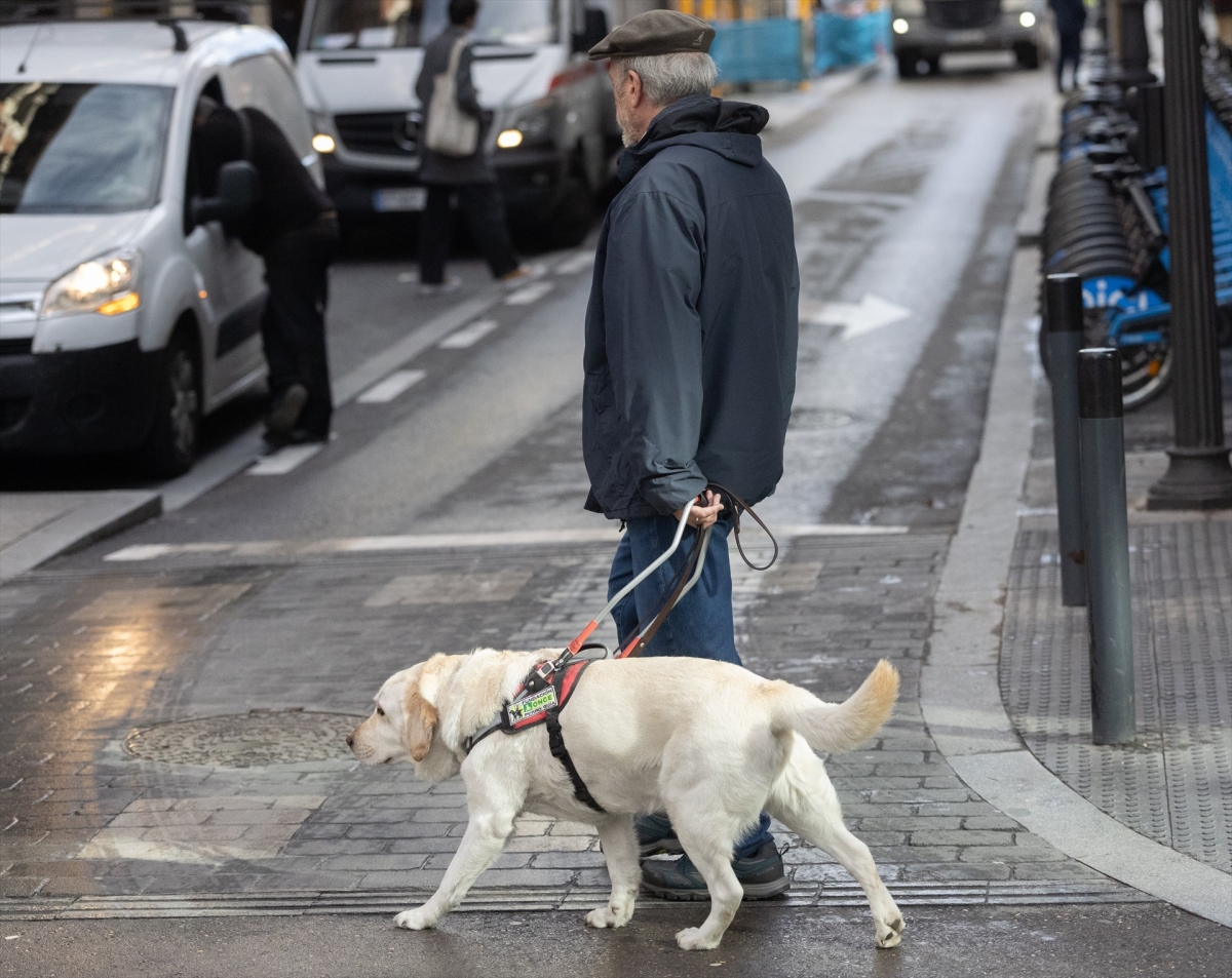 El Gobierno aprueba por decreto que personas con perros de asistencia accedan a espacios públicos y privados