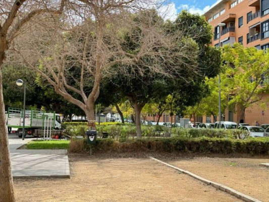 Cuatro empresas 'pujan' por el contrato de zonas verdes de San Vicente; se invertirán cinco millones