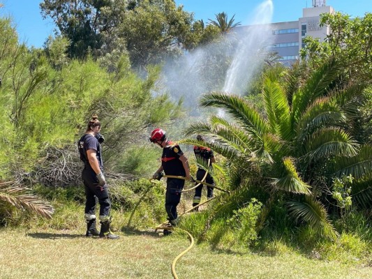 Arranca en la Albufera una prueba piloto para prevenir incendios y proteger las áreas residenciales