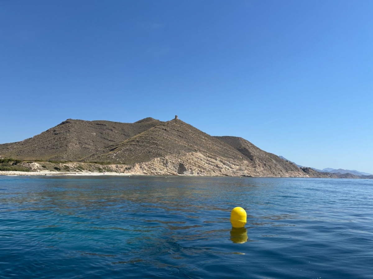 El Campello comienza a balizar sus playas y calas aprovechando el buen estado del mar