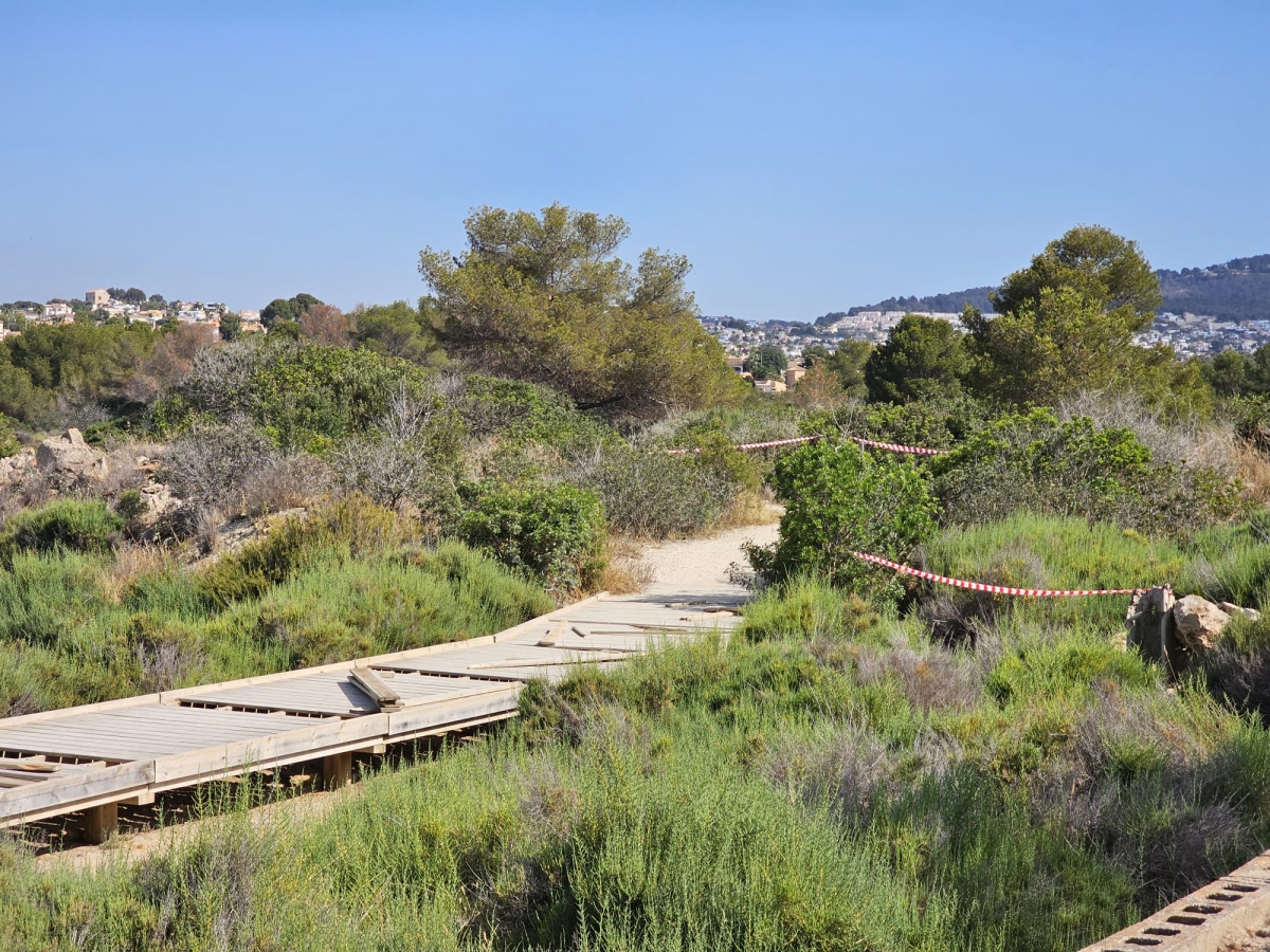Calp retira el mobiliario urbano de las Salinas en cumplimiento de la sentencia del TSJ