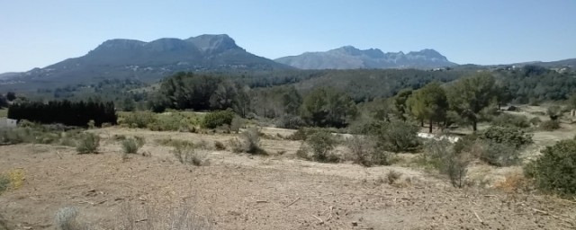 Almendras Sirvent de Xixona proyecta un camping de bungalows y caravanas en Benissa 