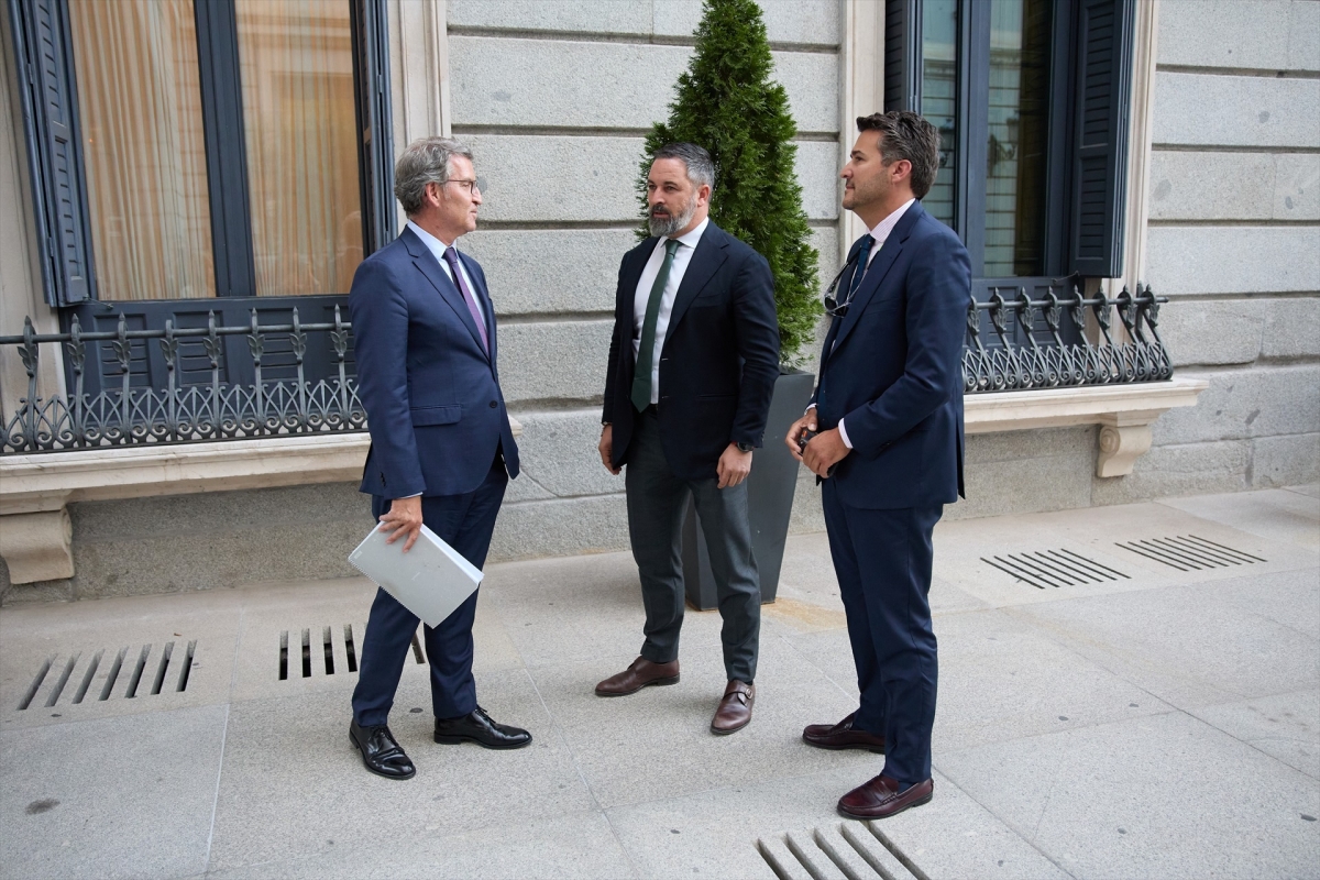 El presidente del PP, Alberto Núñez Feijóo conversa con el presidente de VOX, Santiago Abascal. - Foto: JESÚS HELLÍN/EUROPA PRESS El presidente del PP, Alberto Núñez Feijóo conversa con el presidente de VOX, Santiago Abascal.