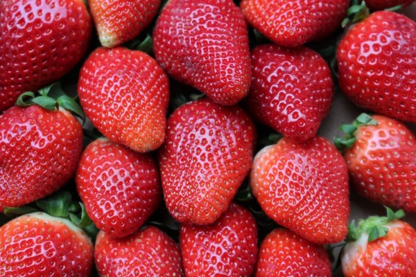 Un nuevo estudio señala que las fresas mejoran la salud del corazón al reducir el colesterol

