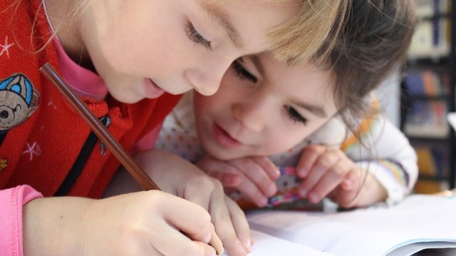 Servicios Sociales y el Colegio Oficial de Educadoras Sociales acuerdan 