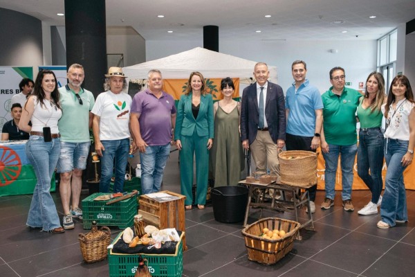 Más de 400 personas de 45 entidades participan en el encuentro vecinal de Castelló