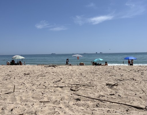 Las playas valencianas, banderas azules entre los restos de cañas de la Dana: 