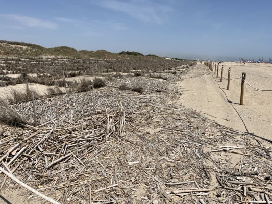 Zapatillas para el verano en las playas de València por los restos de la Dana: 
