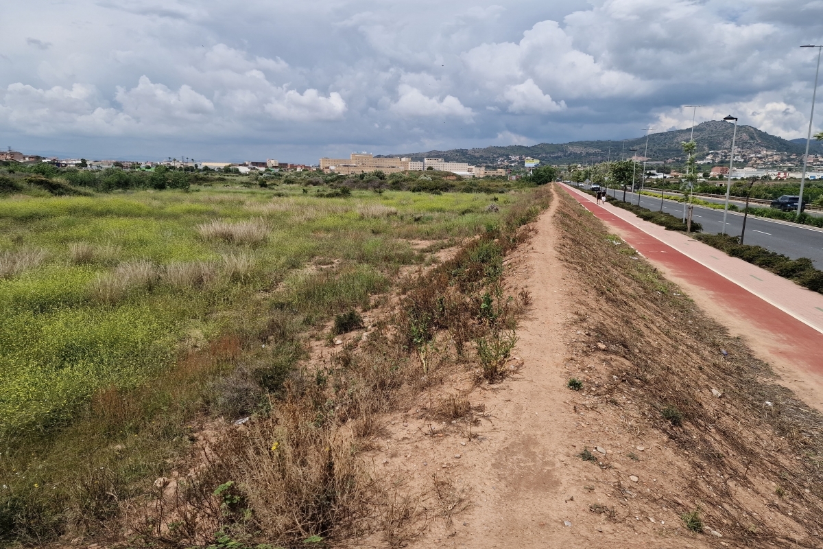 El sector cuenta con unos 155.000 metros cuadrados edificables. - Foto: ANTONIO PRADAS