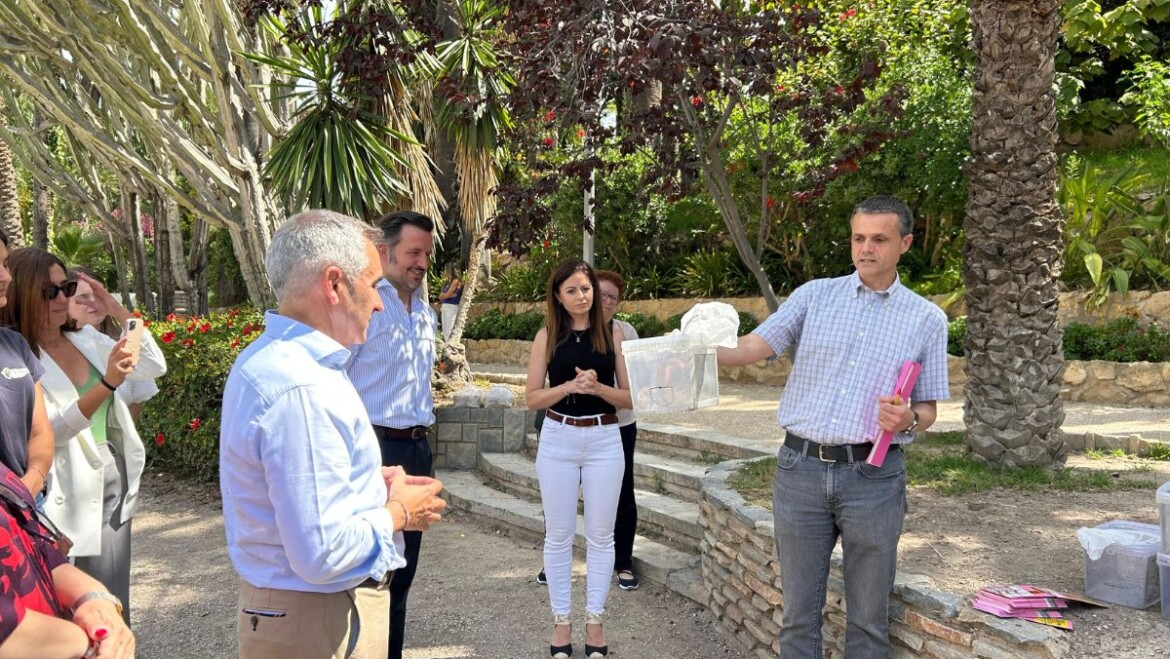 Elche su suma a la lucha contra el mosquito tigre con la ‘Técnica del Insecto Estéril’