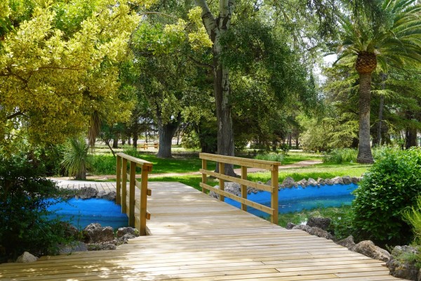 El Jardín Botánico de La Estacada estrena imagen: el paraíso verde de Jumilla vuelve a abrir sus puertas totalmente renovado