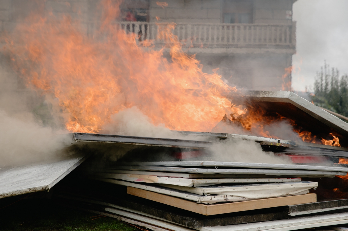  - Foto: PABLO GÓMEZ ORGANDO/ FUNDACIÓN CAÑADA BLANCH