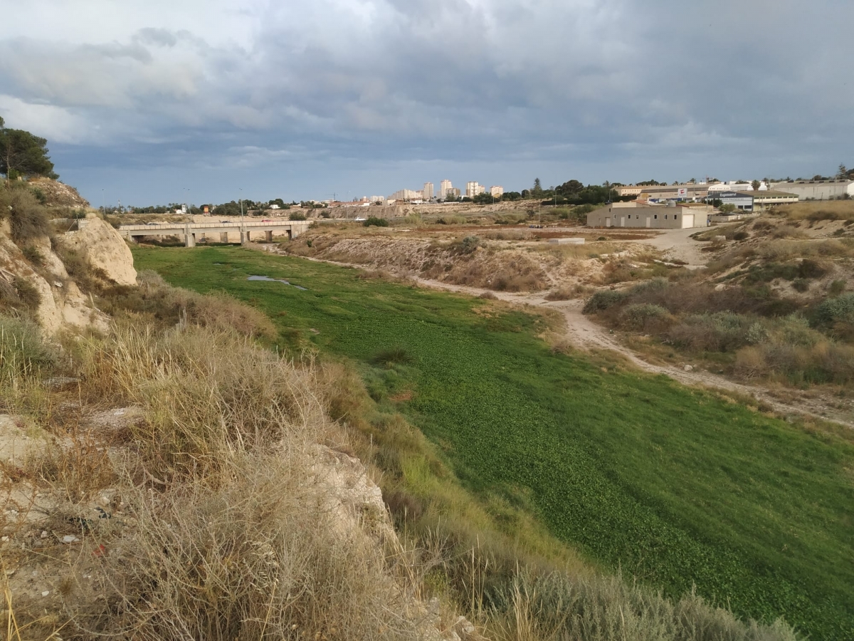 El TSJ anula el Pativel y deja desprotegida la desembocadura del río Seco en El Campello