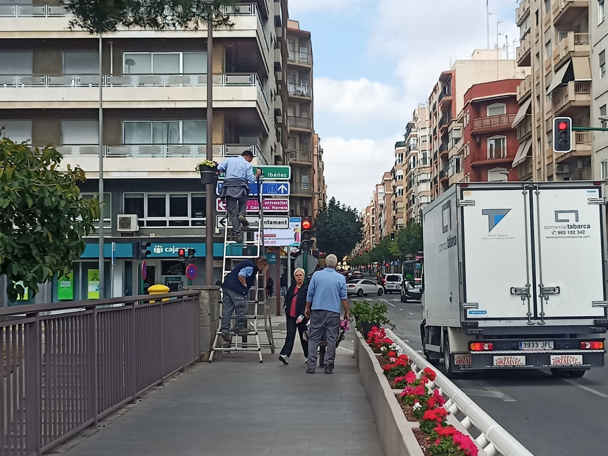 Elche contrata el suministro de más de 25.000 plantas y flores por 88.000 euros para un año