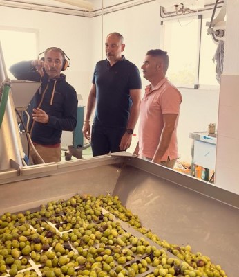 Comienza en Altea la producción de aceite de oliva en la Almazara Municipal