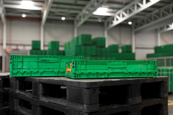 Logifruit cierra 2024 con un crecimiento del 7% hasta los 163 millones y una nueva sede en Almeirim