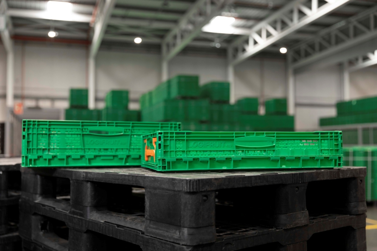 Logifruit cierra 2024 con un crecimiento del 7% hasta los 163 millones y una nueva sede en Almeirim