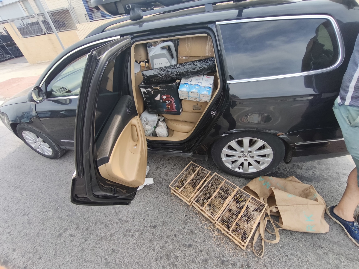 Detenido por intentar embarcar 83 jilgueros en el ferry para venderlos en Argelia