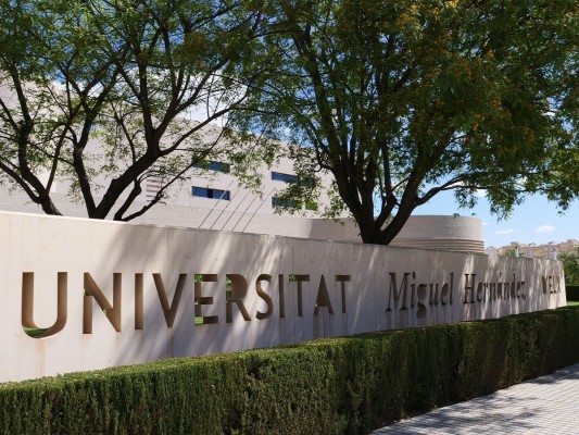 La nueva oferta académica de la UMH: Enfermería, Ingeniería en Tecnologías Industriales, Tecnología de los Alimentos y Marketing