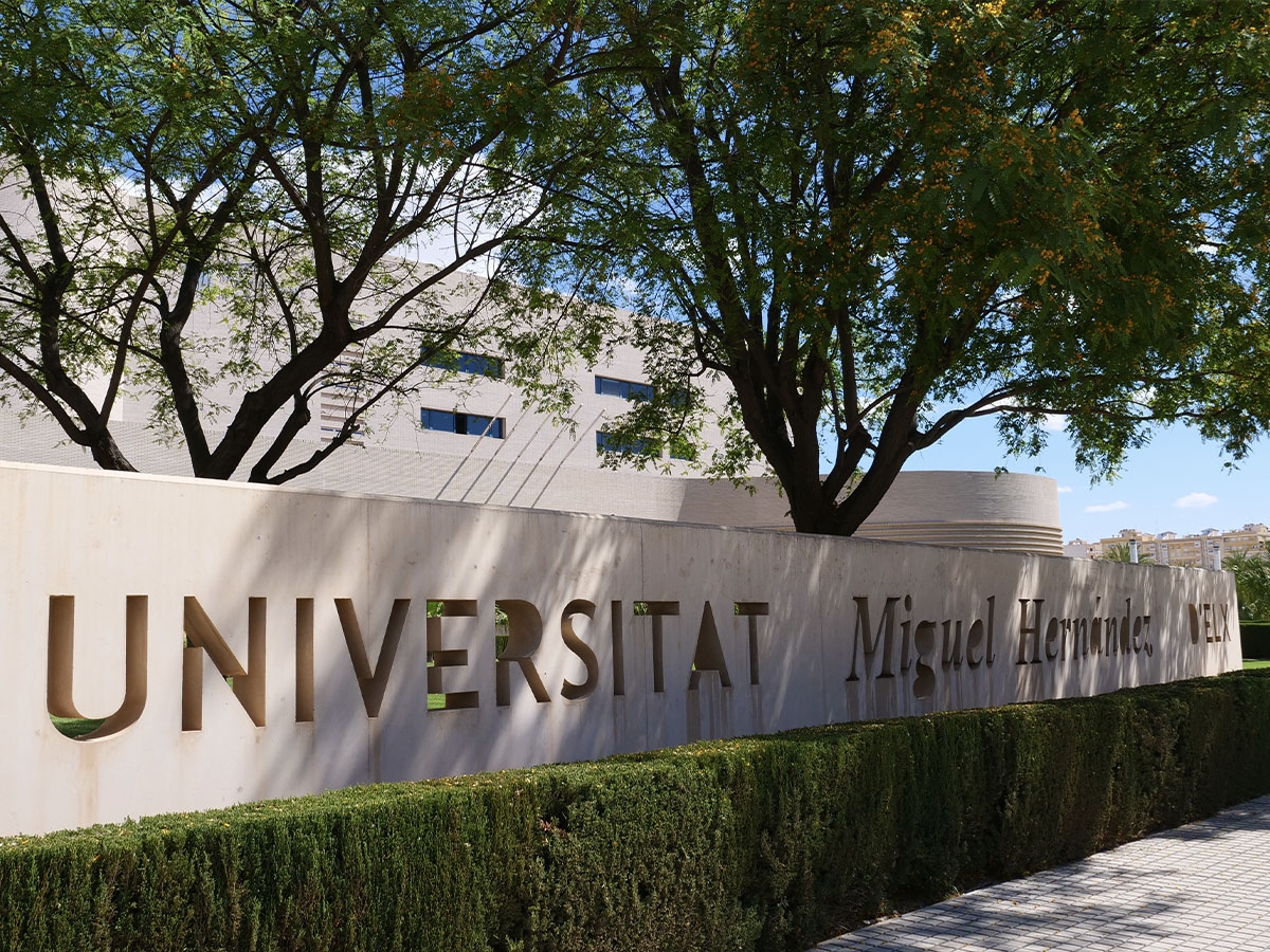 La nueva oferta académica de la UMH: Enfermería, Ingeniería en Tecnologías Industriales, Tecnología de los Alimentos y Marketing