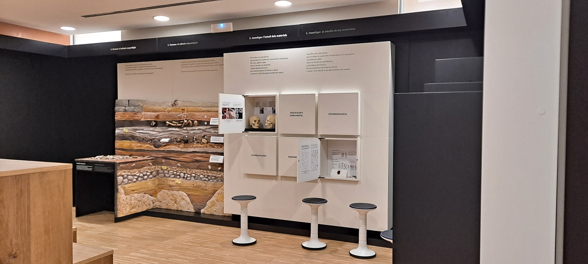El Museu de Prehistòria obri un nou espai dedicat a l'arqueologia