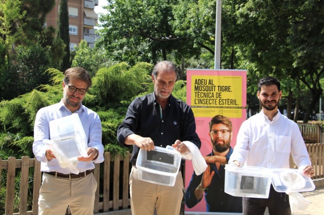 La lucha de Castelló contra el mosquito: suelta 40.000 insectos estériles a la semana en cinco parques