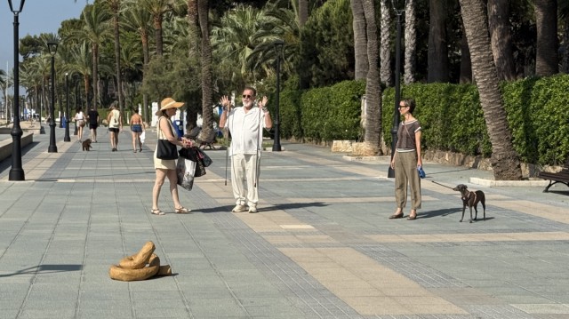 Benicàssim recurre al ingenio para concienciar sobre la recogida de excrementos de mascotas