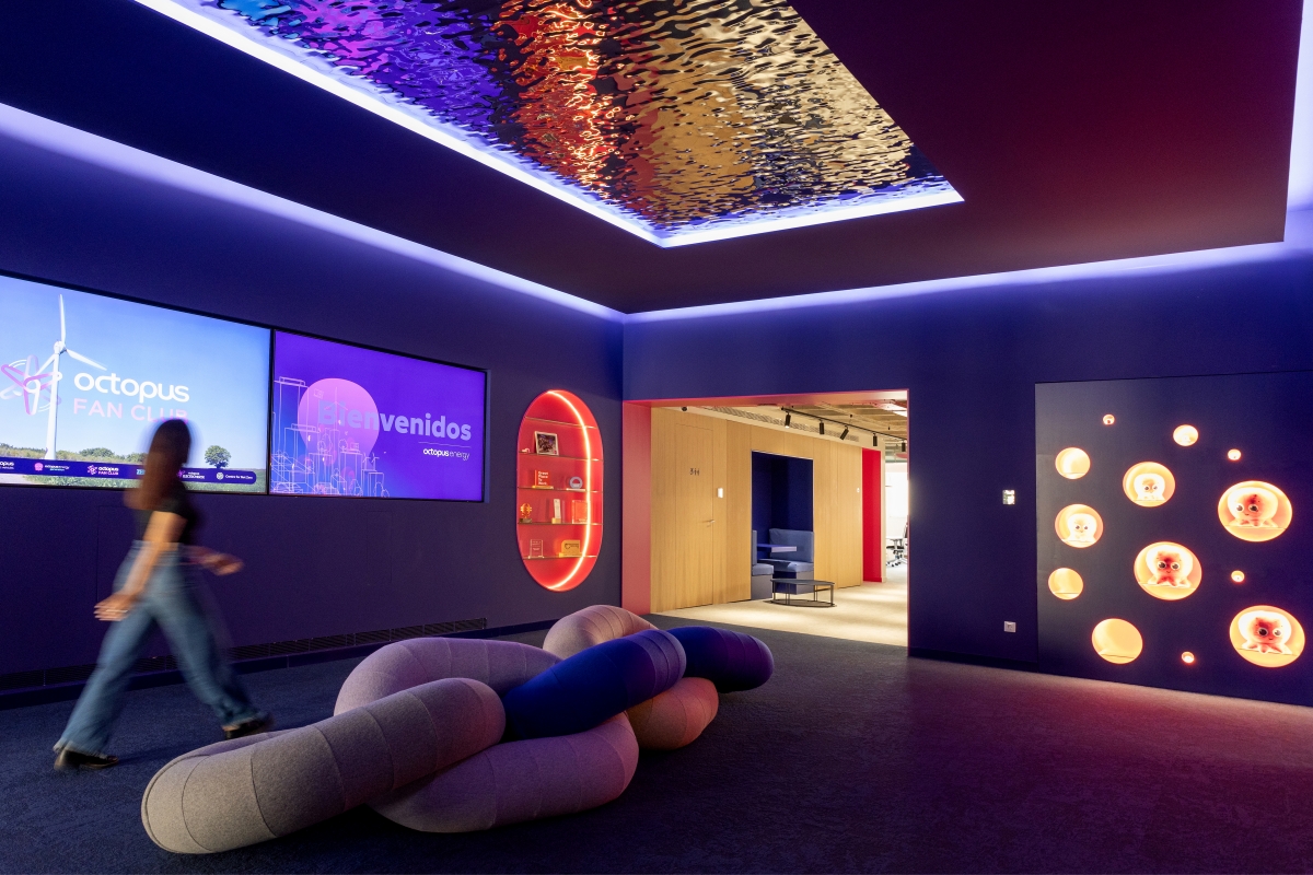 Nueva oficina de Octopus - Nueva oficina de Octopus