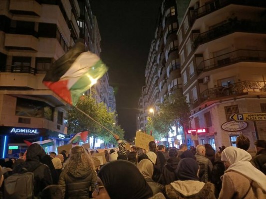 El comité de solidaridad con Palestina de Elche convoca una manifestación este sábado