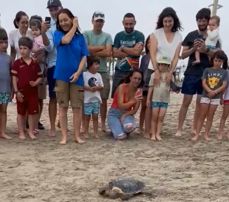 Benicàssim cierra su semana del Medio Ambiente con la suelta de una tortuga marina