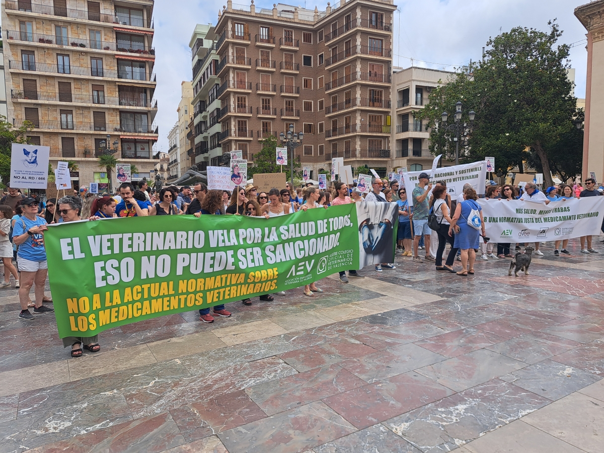 Veterinarios recorren calles de València, Alicante y Castelló en contra de la 