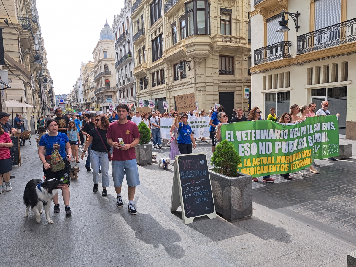 La manifestación en Valencia.