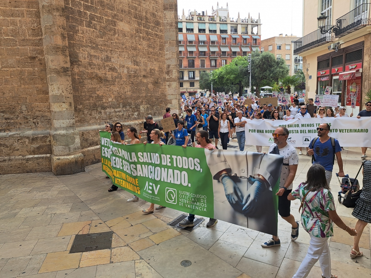 La manifestación en Valencia.
