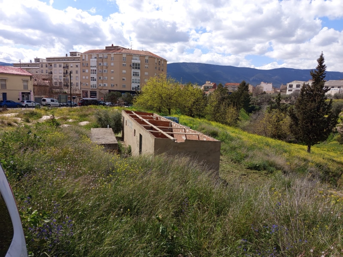 Alcoy declara la guerra al amianto: retirado de siete espacios municipales y ayudas para los particulares