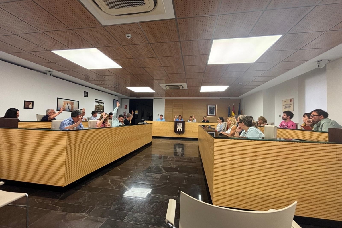 Imagen del pleno de este lunes - 