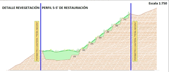 Simulación en perfil de la revegetación - Simulación en perfil de la revegetación
