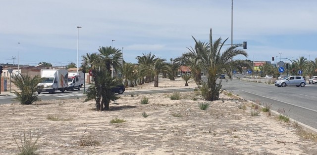 Elche encarrila la adecuación de la entrada a la ciudad por la Ronda Oeste: solo hay una oferta