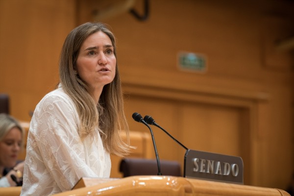 El Senado inicia la comisión de investigación sobre el apagón con un acuerdo entre PP y PSOE para los puestos de la Mesa