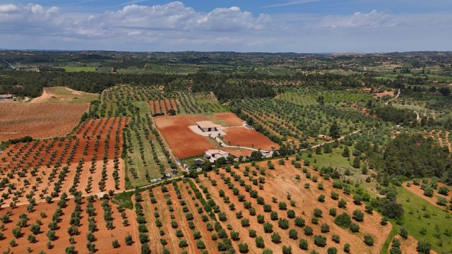 A Maru de Gasconne: sueños soplados por el cierzo que impulsan el vino del Matarraña hacia nuevos horizontes