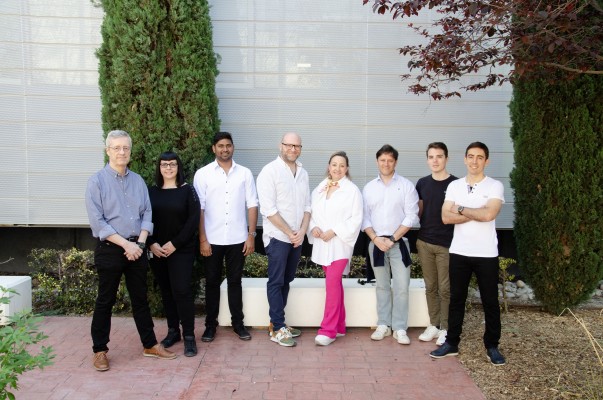 Un estudio de Neurociencias UMH-CSIC revela que las células cancerosas compiten a favor y en contra del tumor 