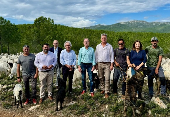 Martínez Mus resalta los beneficios de la ganadería extensiva en la prevención de incendios forestales