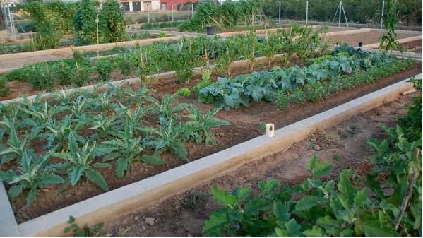 València adjudica las obras de los huertos urbanos de Orriols